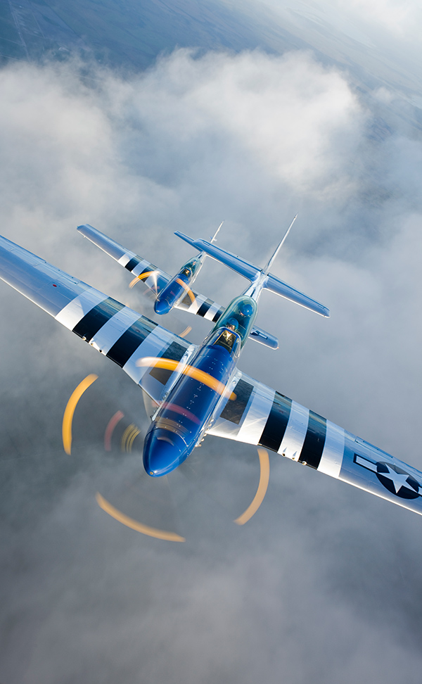 MUSTANG-1