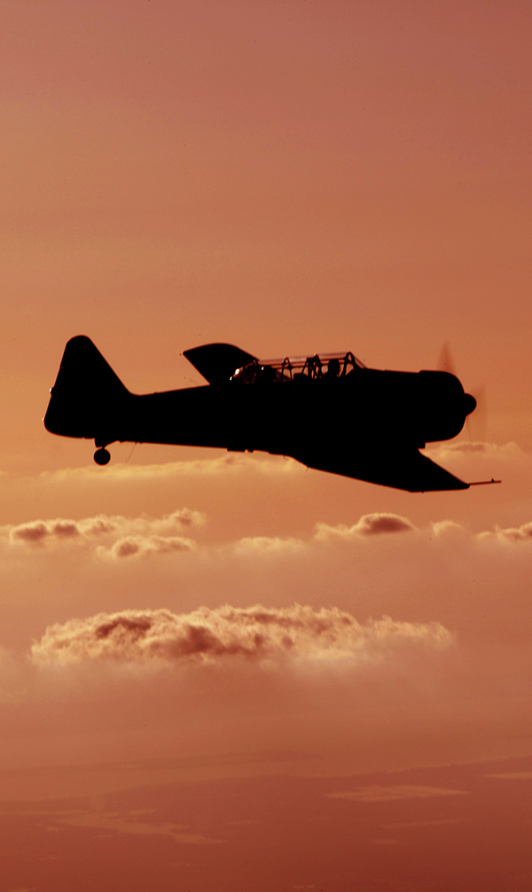 t 6 texan ii cruise speed