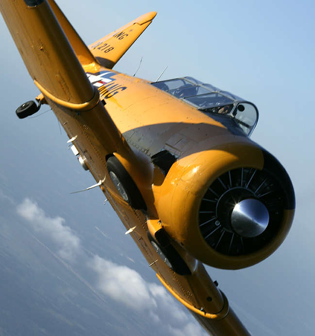 texan9